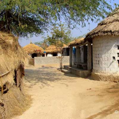 Jodhpur Bishnoi Sightseeing Day Tour
