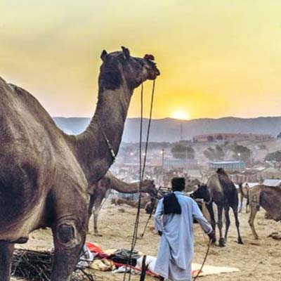 pushkar budget Hotels